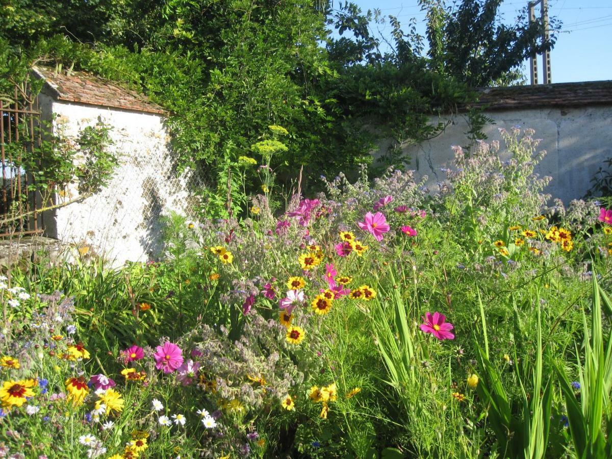 Bed and Breakfast La Ferme Le Merger La Ferté-Gaucher Exterior foto